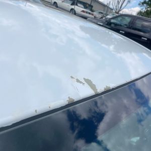 2019 Hyundai ELANTRA SE 缩略图 55