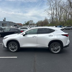 LEXUS NX 350H LUXURY - 3