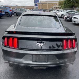 FORD MUSTANG ECOBOOST PREMIUM - 7