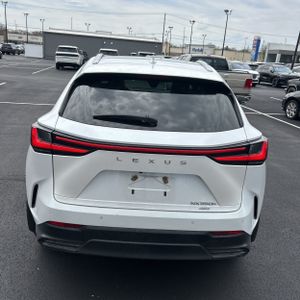 LEXUS NX 350H LUXURY - 7