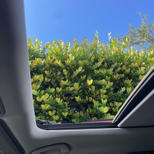صورة مصغرة 36 لـ 2023 Honda PILOT ELITE