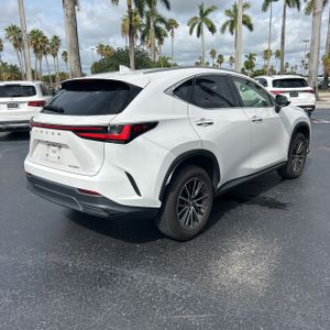 2023 Lexus NX 250 BASE 照片 8