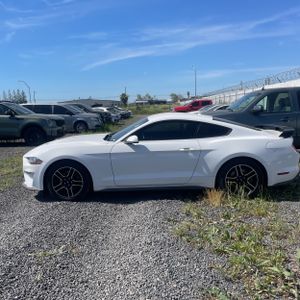 FORD MUSTANG ECOBOOST - 3