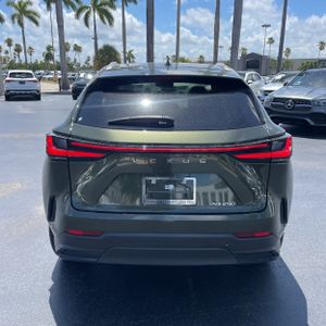 2024 Lexus NX 250 BASE 照片 7