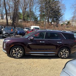 HYUNDAI PALISADE CALLIGRAPHY - 3