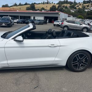 FORD MUSTANG ECOBOOST PREMIUM - 4
