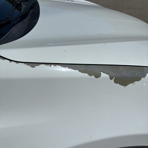 صورة مصغرة 62 لـ 2016 Toyota RAV4 LE