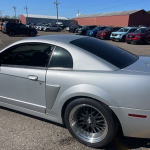 FORD MUSTANG SVT COBRA BASE - 6