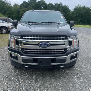 2019 FORD F-150 XLT 缩略图 14