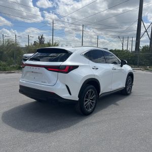 LEXUS NX 250 PREMIUM - 8