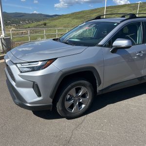 2024 Toyota RAV4 XLE 照片 2