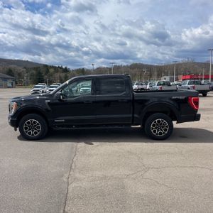 FORD F-150 XLT - 3