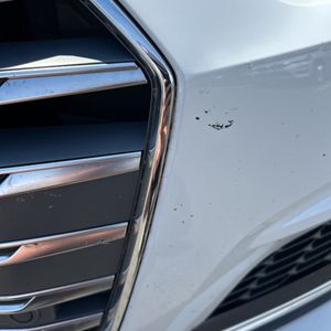 صورة مصغرة 54 لـ 2019 AUDI S5 3.0T PREMIUM