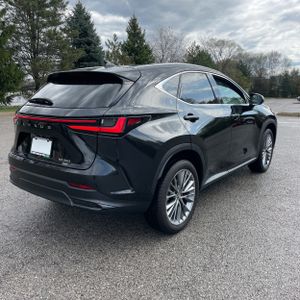 LEXUS NX 350 LUXURY - 8