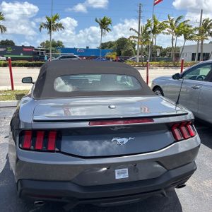FORD MUSTANG ECOBOOST PREMIUM - 5