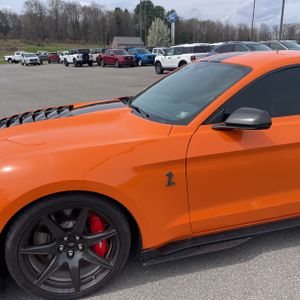 FORD MUSTANG SHELBY GT500 - 2