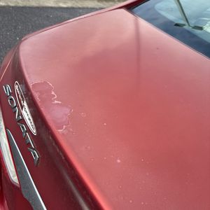 2011 Hyundai SONATA GLS 缩略图 59