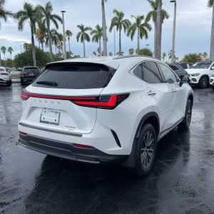 2024 Lexus NX 350 PREMIUM — фото 8