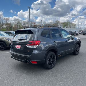 SUBARU FORESTER WILDERNESS - 8