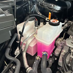 2025 Toyota SIENNA XLE 8-PASSENGER 照片 49