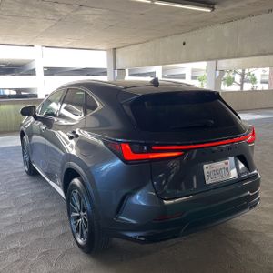 LEXUS NX 250 BASE - 5