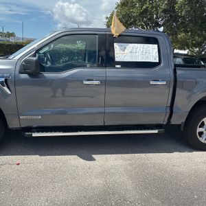 صورة 4 لـ 2024 FORD F-150 XLT