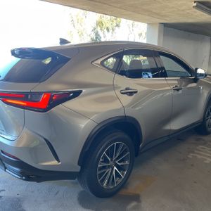 2024 Lexus NX 350 BASE — фото 9