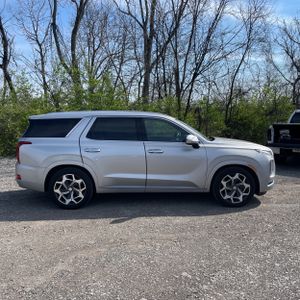 HYUNDAI PALISADE CALLIGRAPHY - 10