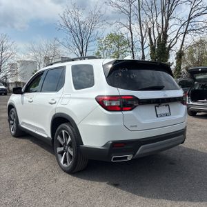 HONDA PILOT ELITE - 6