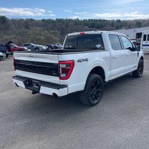FORD F-150 PLATINUM - 8