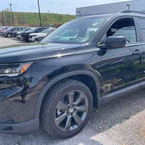 HONDA PILOT SPORT - 2