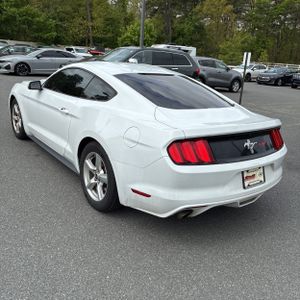 FORD MUSTANG V6 - 5
