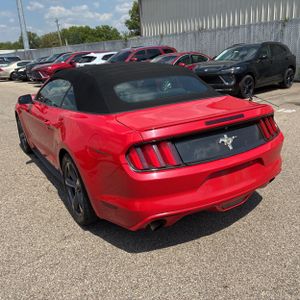 FORD MUSTANG V6 - 5