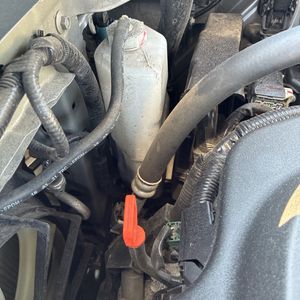 صورة 49 لـ 2022 Honda PASSPORT ELITE