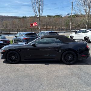 FORD MUSTANG ECOBOOST - 3