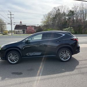 LEXUS NX 350H PREMIUM - 3