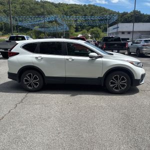 2020 Honda CR-V EX-L 照片 10
