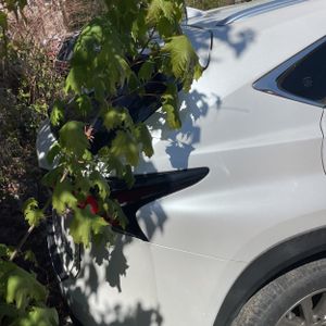 LEXUS NX 300 BASE - 7