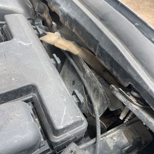 2014 FORD FUSION SE 缩略图 49
