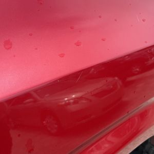 صورة مصغرة 57 لـ 2016 Toyota TACOMA SR