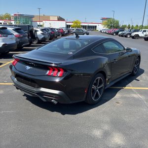 FORD MUSTANG ECOBOOST PREMIUM - 8