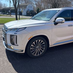 HYUNDAI PALISADE CALLIGRAPHY - 2