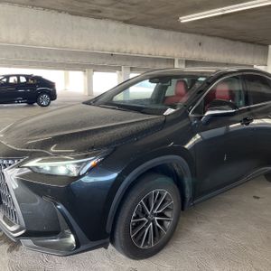2024 Lexus NX 350H PREMIUM 照片 2