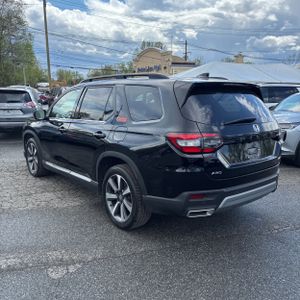 HONDA PILOT ELITE - 5
