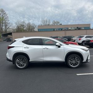 LEXUS NX 350H LUXURY - 10