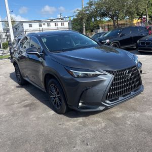 2024 Lexus NX 250 BASE 缩略图 12