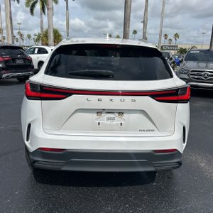2023 Lexus NX 250 BASE 照片 7
