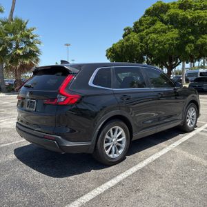 2025 Honda CR-V EX-L 照片 8