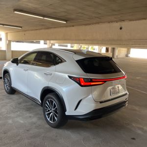 LEXUS NX 250 BASE - 5