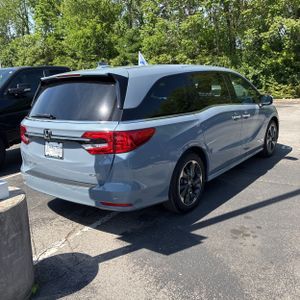 HONDA ODYSSEY ELITE - 8